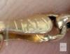 14K Gold Italian Dolphin Charm Chain Bracelet, 7.5" Length, Lobster Clasp, Stamped 585, Italy - 7