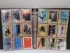 Tooney Tunes , Nolan Ryan & Desert Storm Trading Cards - 5