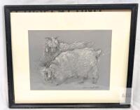 Original Signed Laurie Wonfor Nolan (Canadian Artist) " Wooly Goats " , Prisma & Chalk Drawing, Framed
