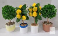 NEW 4 Artificial Potted Topiary Trees, 11.5" Boxwood and Lemon, Realistic Indoor Greenery D&eacute;cor