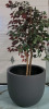 New 28" Diameter Lightweight Extra Large Fiberglass Bowl Planter , Grey - 2