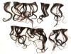 Ladies' Wigs & Extensions : Includes Urban Collection Real Hair & Sassy Collection 100% Toyokalon 18" Yaki Pony, Up To 24 " Long - 2