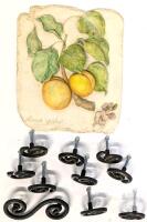 Hen-Feathers "Abricot-p&ecirc;che" Botanical Wall Plaque & 8 Spiral Wrought Iron Drawer Pulls Set