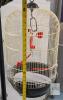 Living World Dome Top Hanging Bird Cage with Metal Stand, 65.5" Total Height, EST 13.5" Diameter - 5