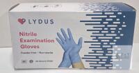 Lydus Nitrile Examination Gloves Large, Powder-Free, Non-Sterile, Box of 100, ASTM D6319, Malaysia