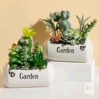 New Amore Florals 2 PCS Artificial Succulents Plants with Creative Can Shaped Pots-Realistic Fake Succulents Plant,Faux Succulents Potted Plants for Bathroom Bedroom Home Room Desk Decor