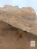 Large 16" Long Greek Head, Lightweight Fibreglass Decor, Very Surrealist! - 3