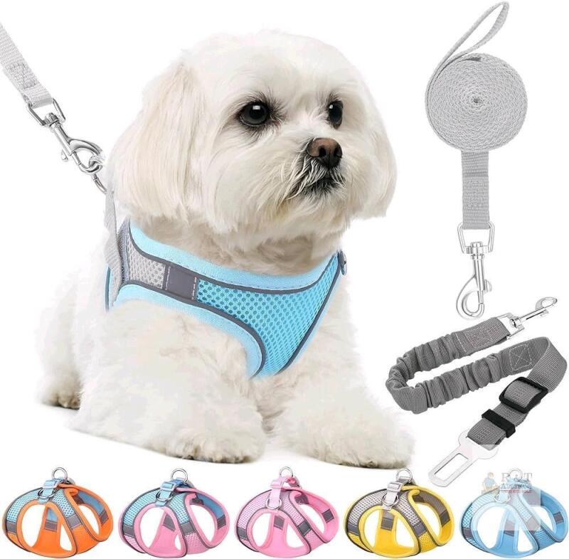 New Size MED Dog Harness & Leash Set, Soft No Pull Adjustable Breathable Mesh Leash and Harness Vest Belt for Puppies, Small Dogs & Cats