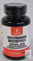 Welbuda Akkermansia Muciniphila 5 in 1 Probiotic Supplement 60 Capsules, Batch MIWAKK6C01/1-300
