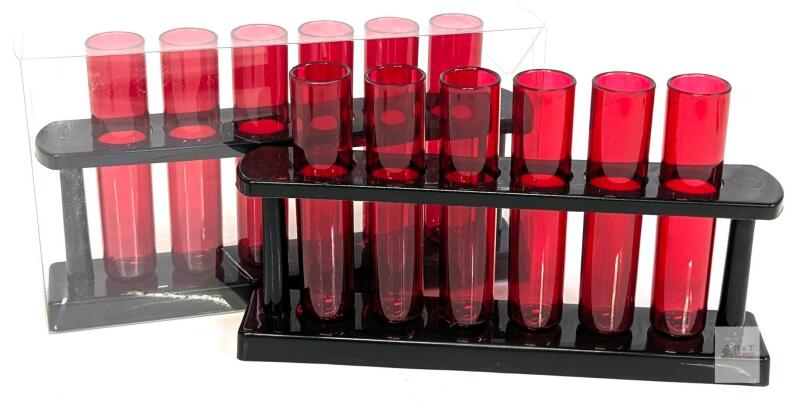 New 2-Pack Meanplan Red Clear Plastic Test Tubes 5.5" Tall in Holder, For Parties, Propagation, Goth Aesthetic