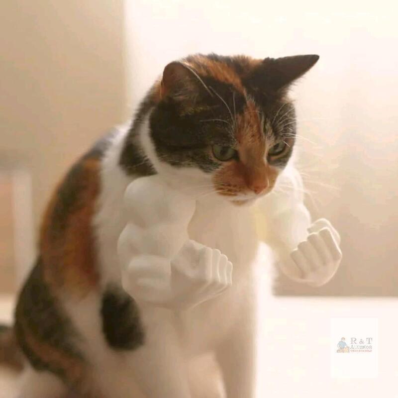 3D Printed Cat Muscle Arms.