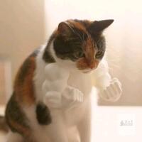 3D Printed Cat Muscle Arms.