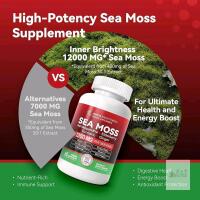 New All-in-1 Sea Moss Advanced , Ashwagandha Elderberry Turmeric Ginger Supplement, 1200mg l, 60 Caps [Unknown EXP Date]