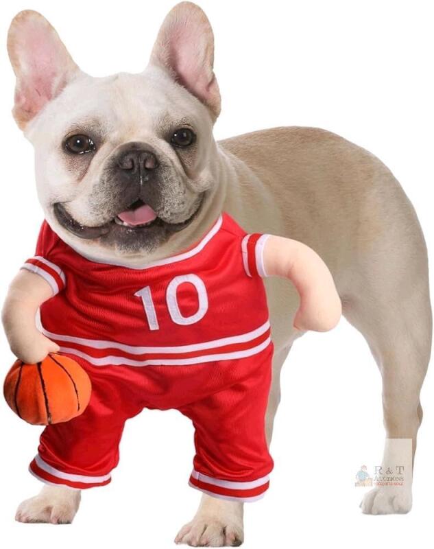 New Size Small DELIFUR Dog Basketball Player Costume