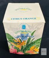 Lili Bermuda Citrus Orange Scented Pillar Candle, 14 oz, Approx. 80-Hour Burn Time
