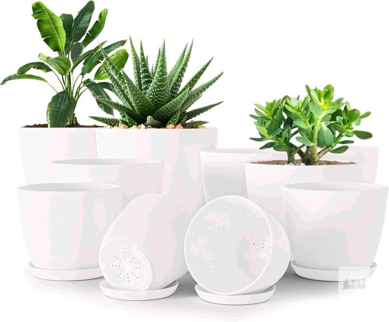 New Utopia Home Pack of 10 - Plastic Plant Pots - Planters for Indoor Plants Saucer Tray - Nursery Pots Indoor with Drainage Holes,Succulent Pots (White)