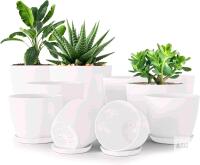 New Utopia Home Pack of 10 - Plastic Plant Pots - Planters for Indoor Plants Saucer Tray - Nursery Pots Indoor with Drainage Holes,Succulent Pots (White)