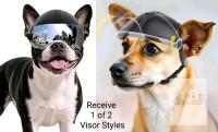New Small-Size Dog Motorcycle Helmet With EITHER Mirrored or Clear Visor, Padded Inside, Ear Holes & Chin Strap (Random Visor Style)