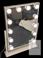 Sheffield Labs BROADWAY Vanity Mirror, Model MR6012C, 18.75" Takl, Tested Working, Scuff Marks on Arm