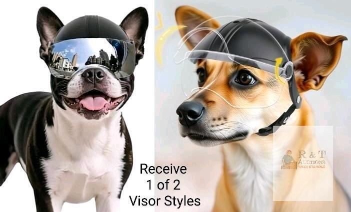 New Small-Size Dog Motorcycle Helmet With EITHER Mirrored or Clear Visor, Padded Inside, Ear Holes & Chin Strap (Random Visor Style)