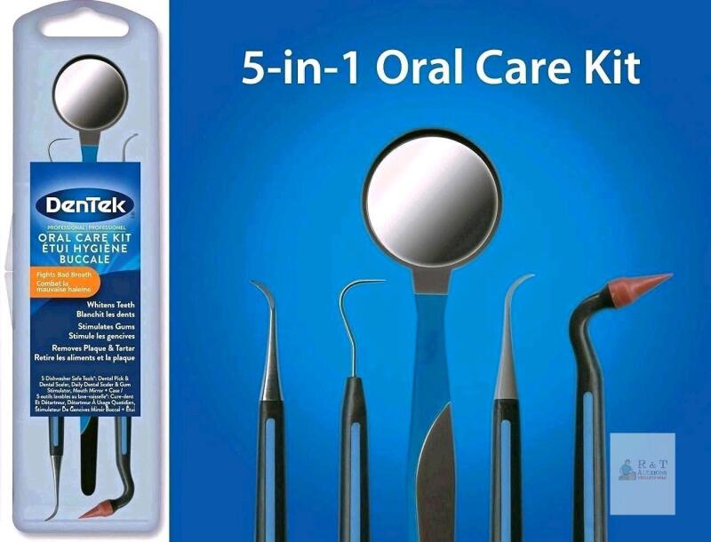 DenTek Professional Oral Care Kit &ndash; 5 Tools, Stainless Steel & Plastic, Antimicrobial Case
