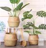 New LG Seaforth Home Seagrass Plant Basket with Handles, 10" Diameter &times; 11" Tall (Excl Handles) Wicker Woven Storage Basket - 5
