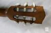 Fender CN-240SCE NAT Thinline Classical Acoustic-Electric Guitar, Cedar Top, Fishman, Hard Case, See photos for condition - 7