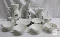 17pc. Vintage Rosenthal German "Japanese Quince" Coffee & Tea Set