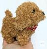 New Yikey Robot Dog Plush 7"- Interactive Walks Barks Wags Tail Brown with Bow Tie - box damaged product excellent - 2
