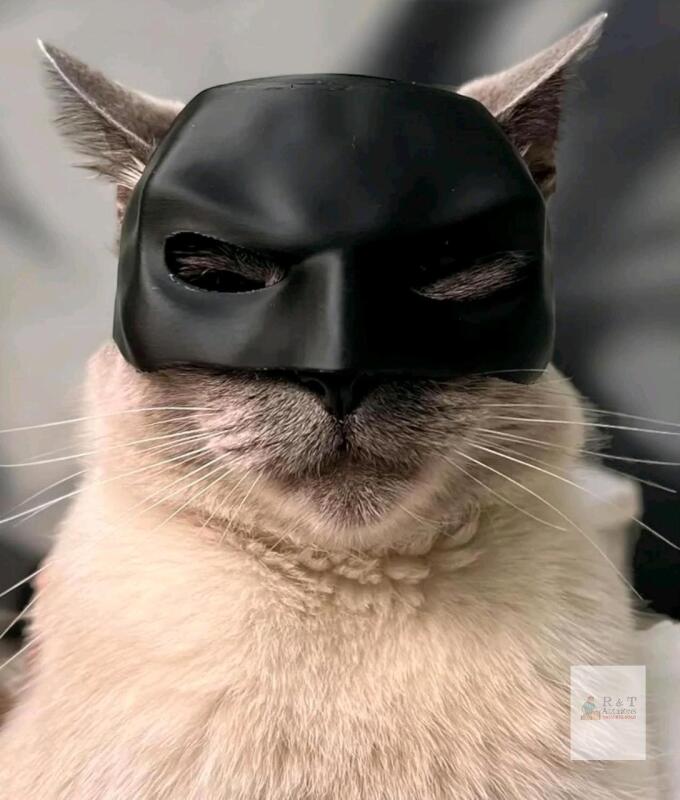 New O/S 3D Printed Cat Batman Mask (Batcat?) With Ear Holes