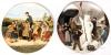 6 Vintage 1980s Ankers Erbe Suisse Langenthal Suisse Bradex Decorative Collector's Plates - 2