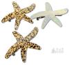 3 New Starfish Sea Star Hair Barrettes, 2&times; Tortoiseshell, 1&times; Iridescent, 3" Across