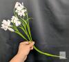 New Lcuasc 12pcs Orchid Flowers Branches, 21.7in Artificial Cymbidium Flower Stems for Table Centerpiece Wedding Vase Arrangements Office Home Decor (White) X0051CLM5F - 2