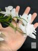 New Lcuasc 12pcs Orchid Flowers Branches, 21.7in Artificial Cymbidium Flower Stems for Table Centerpiece Wedding Vase Arrangements Office Home Decor (White) X0051CLM5F - 3