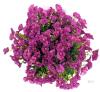 New PJYHome 12-Bundle Artificial Flowers, Plastic Waterproof Stems, For Inside Outside Decoration, Purple X004RQ7WRD - 4