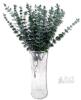 New Realistic Eucalyptus Sprigs & Bunches, Up To 15" Long