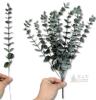 New Realistic Eucalyptus Sprigs & Bunches, Up To 15" Long - 2