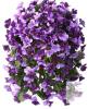 New INQCMY Artificial Silk Hanging Basket Flowers, Deep Purple Lotus, Set of 6 Bouquets X004Y36D47 Lotus