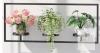 New - Wall Planters for Indoor Plants, Plant Frames Wall Decor Living Room Plant Stand Hanging Wall Plants Holder to Hold Large Pots Wall Plant Hanger Window Plant Shelves for Outdoor Entryway