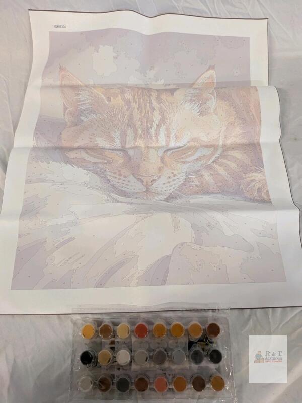 Paint by Numbers Kit HSX01334 &ndash; Sleeping Cat Design, 16x20" Canvas, 24 Acrylic Paints, 3 Brushes