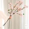 New Senjie Artificial Cherry Blossom Branches, Fake Flowers Bouquet with Real Touch Long Stems, Faux Silk Flowers for Vases Wedding Party Table Centerpieces Spring Home Decor (3PCS, Vase Not Included) X004Y1U5NT