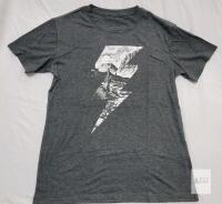 NEW Large Heather Gray T-Shirt with Lightning Bolt and Desert Canyon Graphic