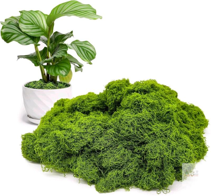 New Aspamms Fake Green Moss for Potted Plants Indoor, 5.3oz Artificial Moss for Crafts, Faux Moss Decor for Fairy Garden, DIY Decorative, Model Making, Walls, Glass Containers, Home