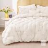 QUEEN Size BEDELITE Cream White Floral Pinch Comforter Set - 3 Pieces Boho Pintuck Bedding Comforter Sets, Lightweight Soft & Warm Bed Comforter with 2 Standard Pillowcases for All Season