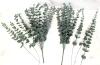 New Realistic Eucalyptus Sprigs & Bunches, Up To 15" Long - 3