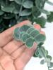 New Realistic Eucalyptus Sprigs & Bunches, Up To 15" Long - 4