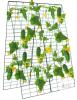 NEW Large 4 Panel 48"x17" Folding Steel Garden Trellis, Clips & Grow Bags, Green, Multi-Configurable