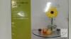 Home Collection Maison Semi-Circle Tempered Glass Wall Shelf 12" x 8" new - 2