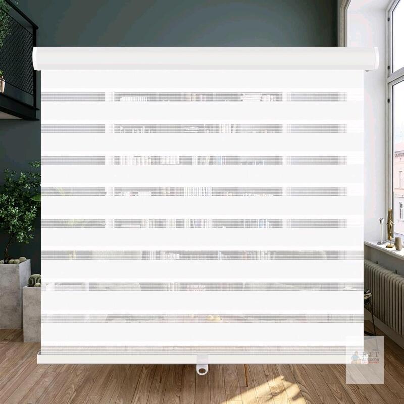 New LUCKUP Cordless Zebra Blinds Roller Shades for Window-Dual Layer Sheer Blinds Light Control with Valance Day Night Privacy Light Filtering Fabric, 18" &times; 48" , White