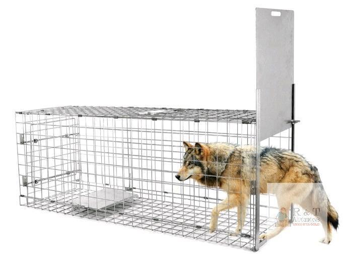 57-Inch Timaze Large Humane Live Animal Trap Cage, Collapsible, Galvanized Steel, 55 lb Capacity